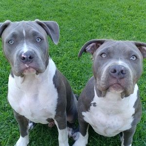 Meet your Posher, Rafael